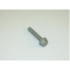 MOTOR KULAK CİVATA M10X55
